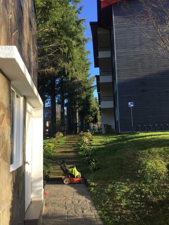 Condominio Robles Camino Al Volcan Pucón Zewnętrze zdjęcie