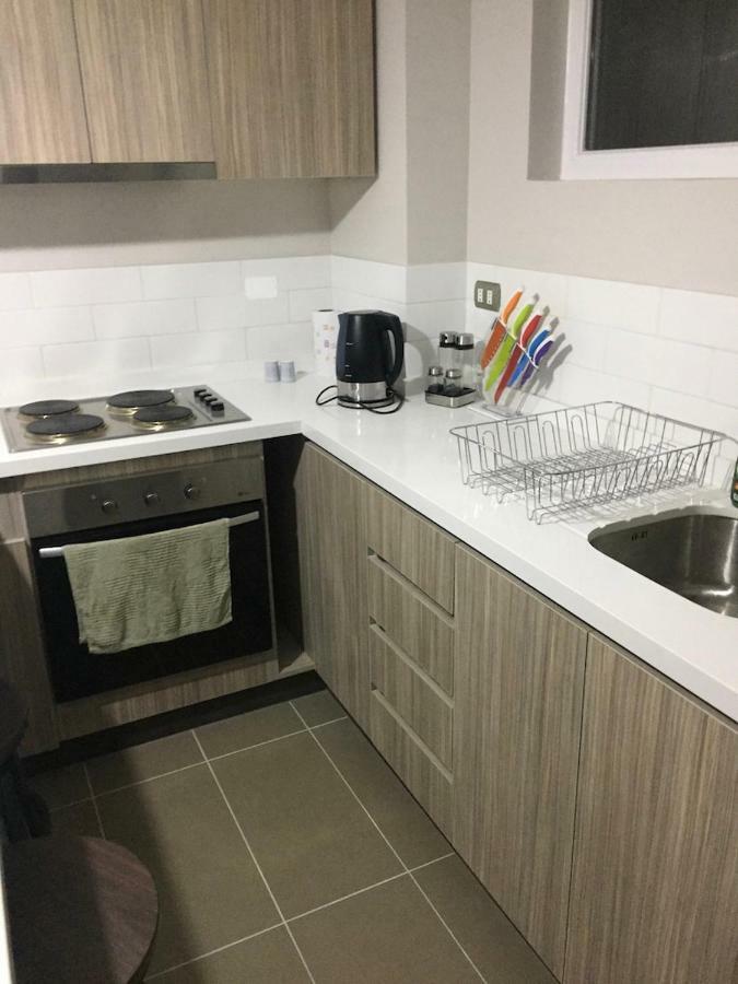Condominio Robles Camino Al Volcan Pucón Zewnętrze zdjęcie